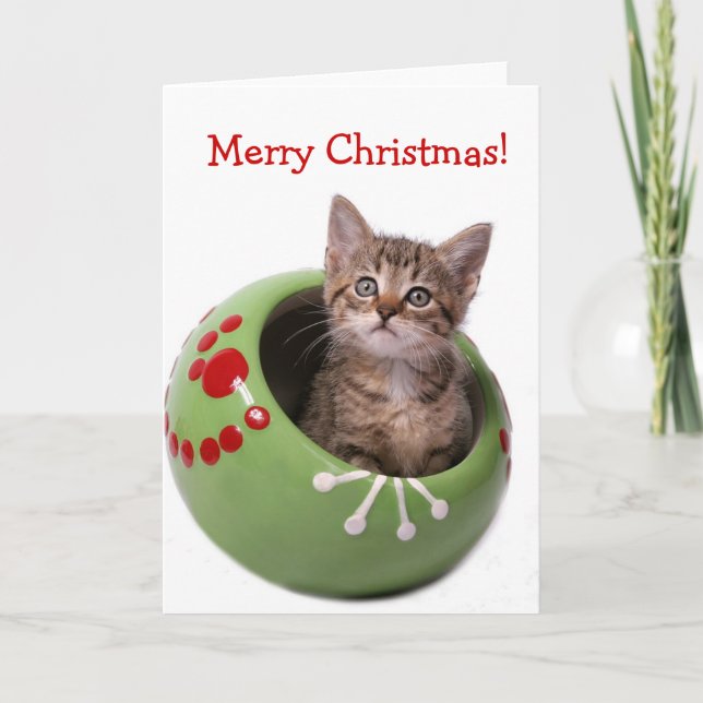Cartes Pour Fêtes Annuelles Chaton de Joyeux Noël (Devant)