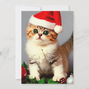 Cartes Pour Fêtes Annuelles Chaton de Noël vintage avec chapeau de Père Noël