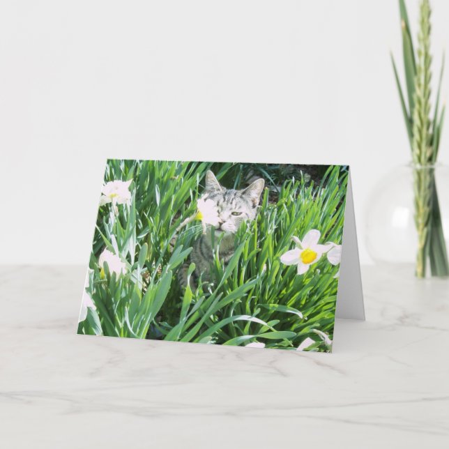 CARTES POUR FÊTES ANNUELLES CHATON DE PÂQUES (Devant)