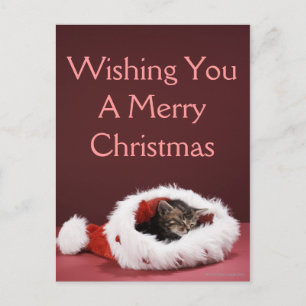 Cartes Pour Fêtes Annuelles Chaton endormi dans le casquette de Noël