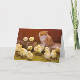 Cartes Pour Fêtes Annuelles Chaton et poussins de Pâques