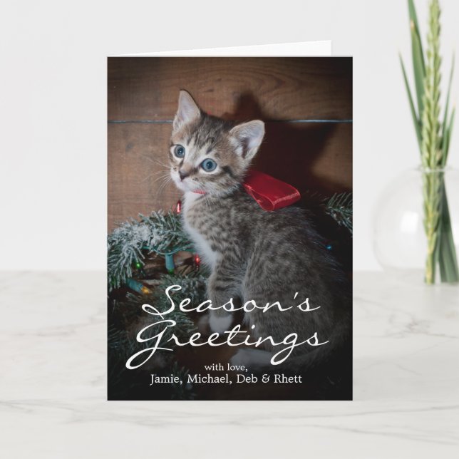 Cartes Pour Fêtes Annuelles Chaton mignon (Devant)