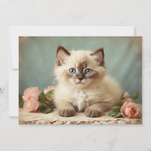 Cartes Pour Fêtes Annuelles Chaton Ragdoll Mignon Portrait Vintage Fleurs Doux