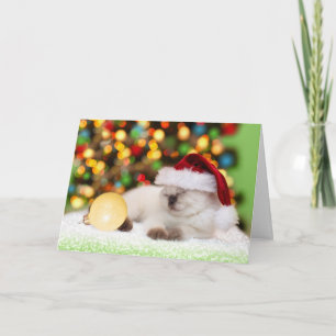 Cartes Pour Fêtes Annuelles Chaton siamois : Ornement d'or