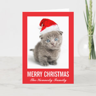Cartes Pour Fêtes Annuelles Chaton utilisant un casquette de Père Noël