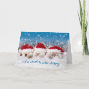 Cartes Pour Fêtes Annuelles Chatons adorables à Santa Hats Dormir