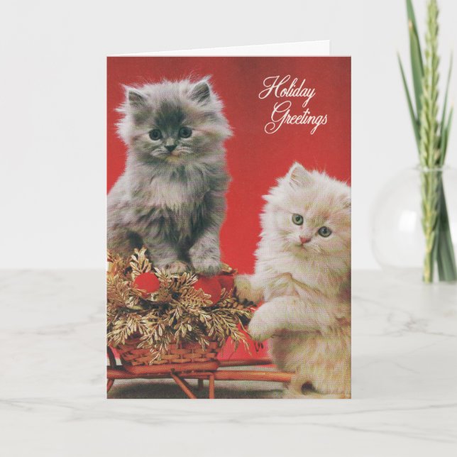 Cartes Pour Fêtes Annuelles Chatons de Noël (Devant)