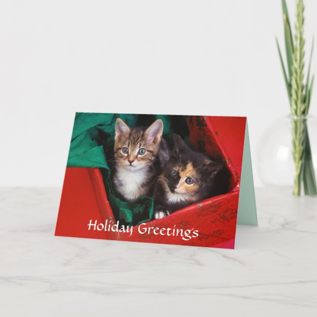 Cartes Pour Fêtes Annuelles Chatons de Noël (Devant)