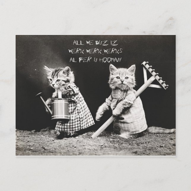 Cartes Pour Fêtes Annuelles Chatons travailleurs (Devant)