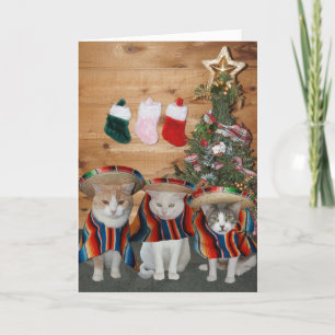 Cartes Pour Fêtes Annuelles Chats amusants/Kitties Feliz Navidad