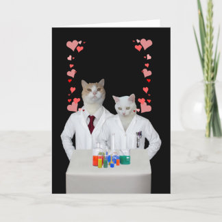Cartes Pour Fêtes Annuelles Chats de chimie amusante personnalisables