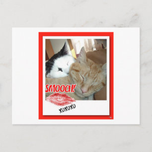 Cartes Pour Fêtes Annuelles Chats de la Saint Valentin