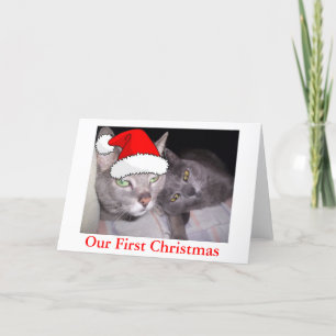 Cartes Pour Fêtes Annuelles Chats de Noël