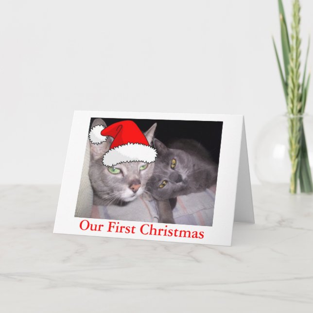 Cartes Pour Fêtes Annuelles Chats de Noël (Devant)