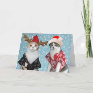 Cartes Pour Fêtes Annuelles Chats de Noël amusants et personnalisables