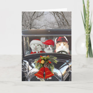 Cartes Pour Fêtes Annuelles Chats de Noël en voiture