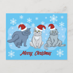 Cartes Pour Fêtes Annuelles Chats de Noël Joyeux Noël