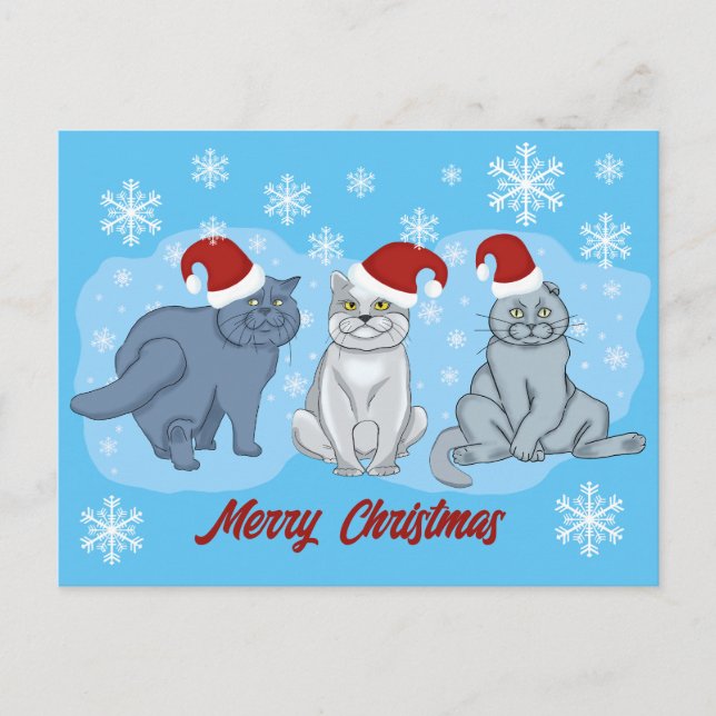 Cartes Pour Fêtes Annuelles Chats de Noël Joyeux Noël (Devant)
