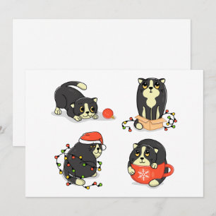 Cartes Pour Fêtes Annuelles Chats de Noël mignons et drôles