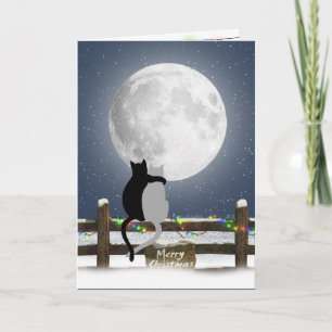 Cartes Pour Fêtes Annuelles Chats de Noël sur une clôture hivernale