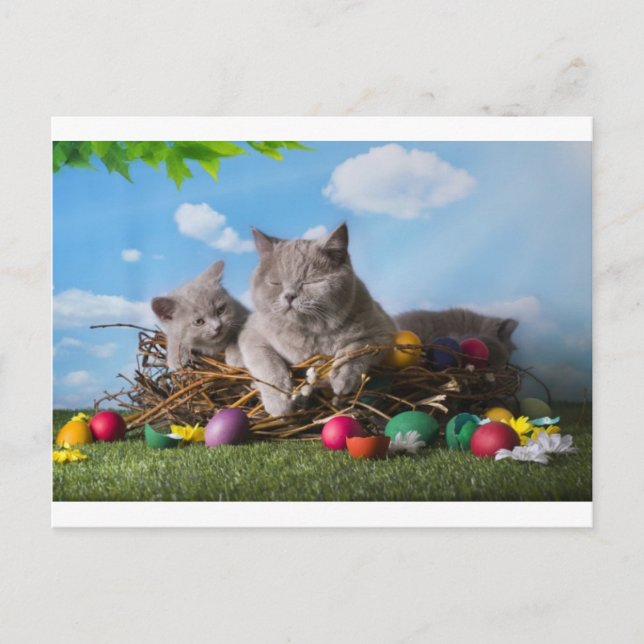 Cartes Pour Fêtes Annuelles Chats de Pâques (Devant)