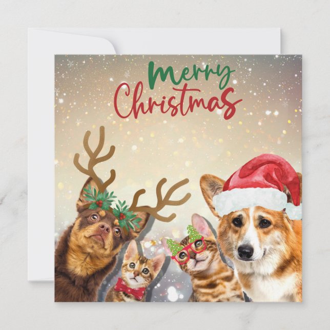 Cartes Pour Fêtes Annuelles Chats et chiens de Noël mignons Animaux amusants (Devant)