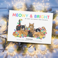Chats et poulets drôles de Noël Photo