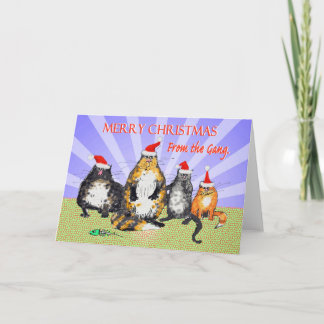 Cartes Pour Fêtes Annuelles Chats, Joyeux Noël de la bande, humour