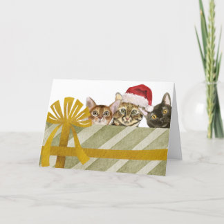 Cartes Pour Fêtes Annuelles Chats mignons et colis de Noël