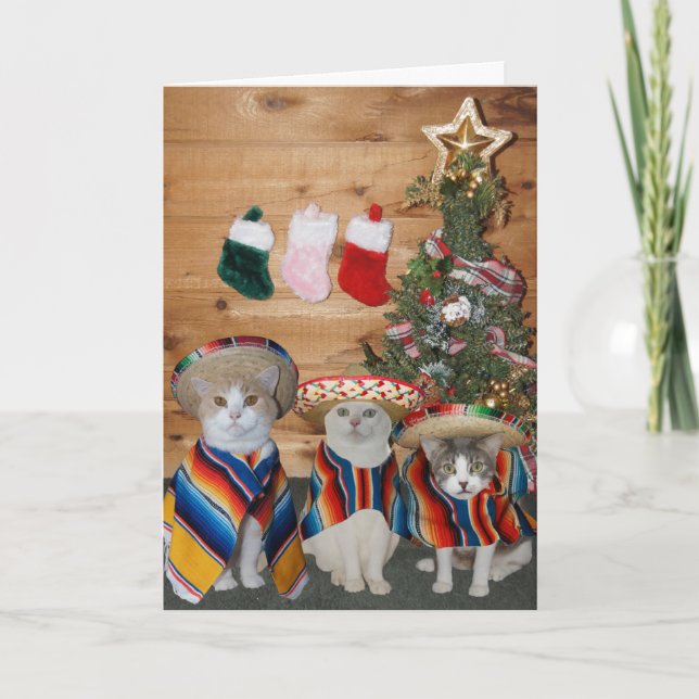 Cartes Pour Fêtes Annuelles Chats/minous drôles Feliz Navidad (Devant)