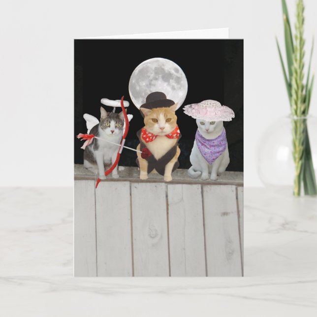 Cartes Pour Fêtes Annuelles Chats/minous drôles Valentine (Devant)