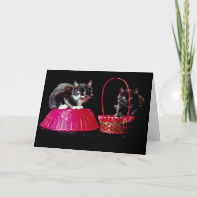 Cartes Pour Fêtes Annuelles Chats noirs et gris sur des paniers de Pâques rose (Devant)
