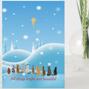 Cartes Pour Fêtes Annuelles Chats Religieux Star Toutes Choses Animaux
