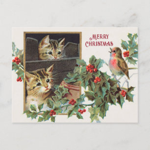 Cartes Pour Fêtes Annuelles Chats saints vintages et Noël des oiseaux