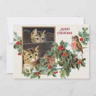 Cartes Pour Fêtes Annuelles Chats saints vintages et Noël des oiseaux