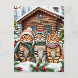 Cartes Pour Fêtes Annuelles Chats tabby en tenue de pré-hiver et chapeau d'hiv