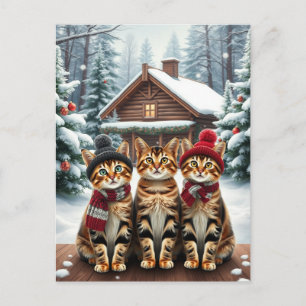 Cartes Pour Fêtes Annuelles Chats tabby en tenue de winter chic et chapeau d'h