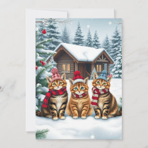 Cartes Pour Fêtes Annuelles Chats tabby en tenue de winter preppy et chapeau H