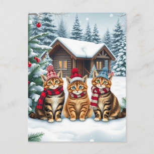 Cartes Pour Fêtes Annuelles Chats tabby en tenue pré-prépa d'hiver et chapeau 