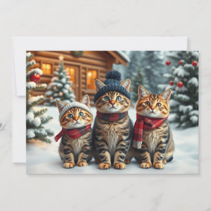 Cartes Pour Fêtes Annuelles Chats tabby en tenue pré-prêt-à-porter et chapeau 