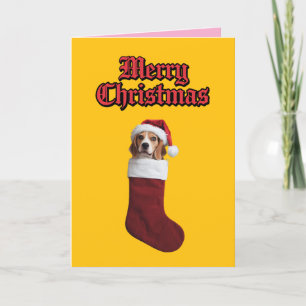 Cartes Pour Fêtes Annuelles Chaussette de Noël Beagle