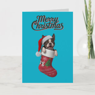 Cartes Pour Fêtes Annuelles Chaussette de Noël de Boston Terrier