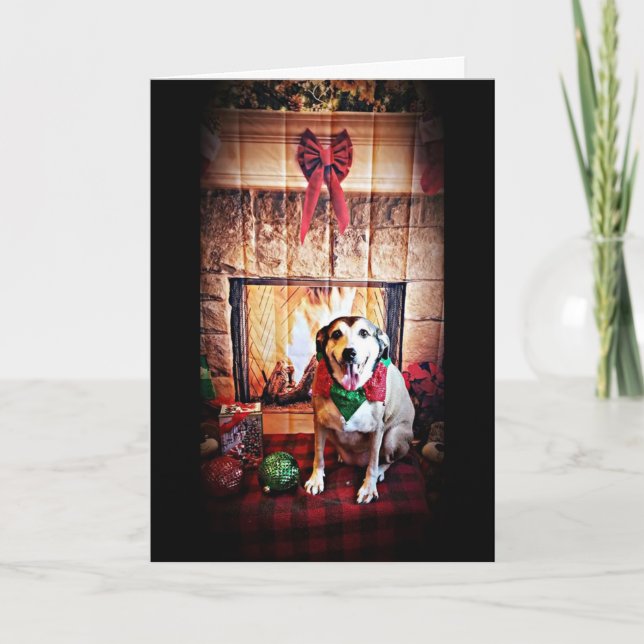 CARTES POUR FÊTES ANNUELLES CHEERS JOYEZ NOËL / HEUREUX NOUVEL AN (Devant)