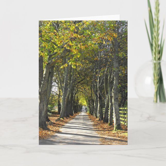 Cartes Pour Fêtes Annuelles Chemin de campagne à Jersey (Devant)