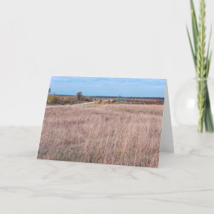Cartes Pour Fêtes Annuelles chemin prairie au refuge necedah