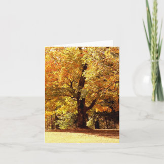 Cartes Pour Fêtes Annuelles Chêne dans l'automne