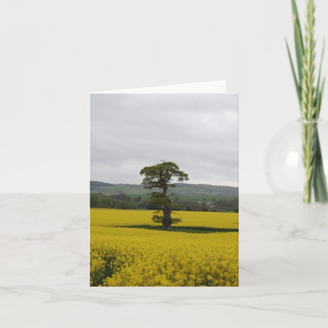 Cartes Pour Fêtes Annuelles Chêne de forêt (Devant)