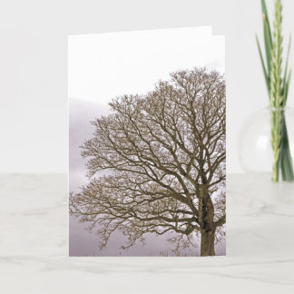 Cartes Pour Fêtes Annuelles Chêne en hiver 1
