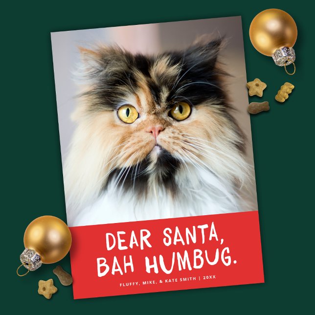Cartes Pour Fêtes Annuelles Cher Père Noël Bah Humbug Funny Pet Photo (Créateur téléchargé)