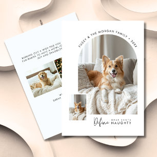 Cartes Pour Fêtes Annuelles Cher Père Noël Définir Naughty Dog Christmas Arch 